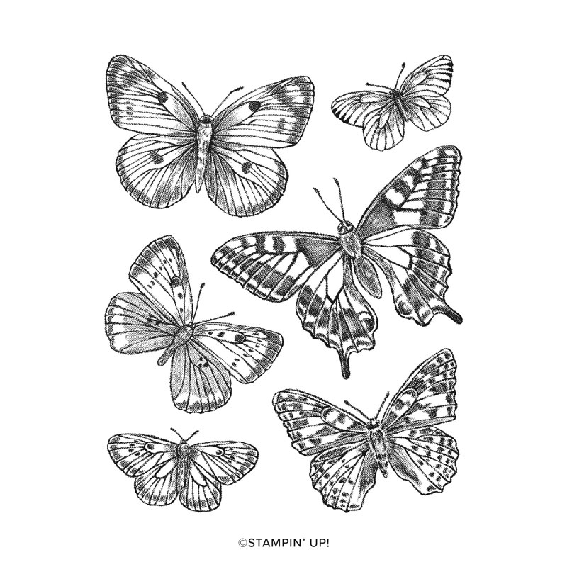 362 Die-Cut carton Fleur/Papillon/Libellule Mariage Décoration vrac 5-12 cm